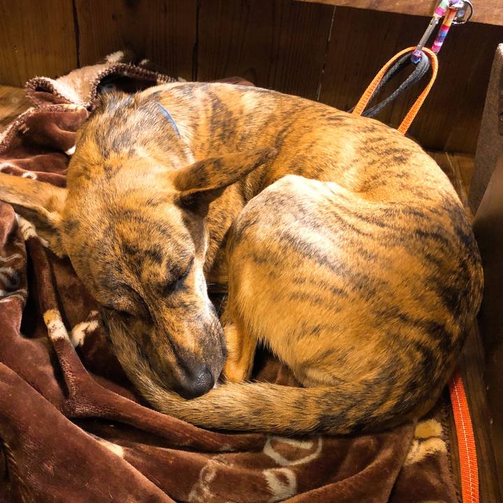 2629e651 5b94 48c1 8119 9b0de9fc42c0 1579422113047