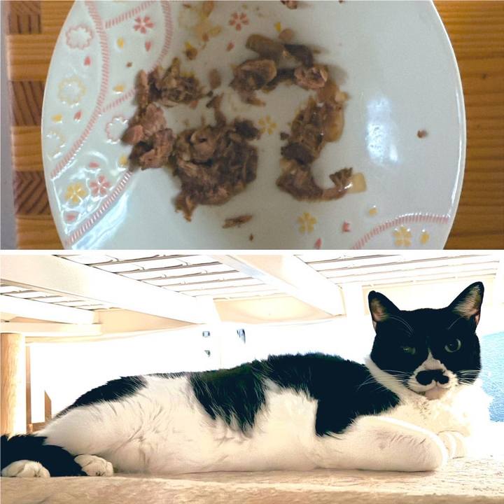 262a371c c0f7 44db a85f 5fd41a9c958a 1727308771555