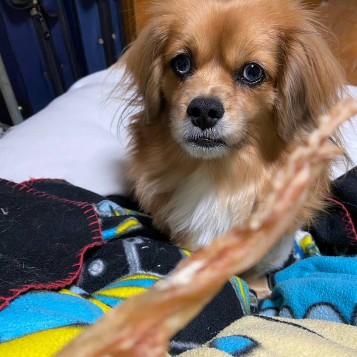 262a6b8e 77d4 4bad b536 17d6294874af 1607116126871