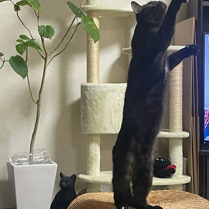 262a83e9 5524 481f 827e 517ebe551e2c 1763092562759