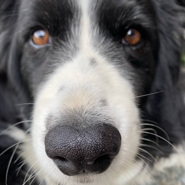 262a9e2d ec19 4fc1 8853 92dc193b3d24 1652654886693