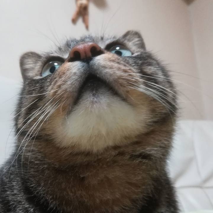 262aa08e ca9e 439e a0f4 d90d0ded8cd7 1518706032943