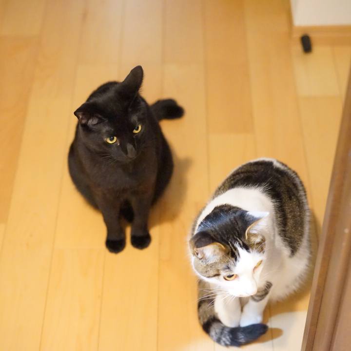 262aae18 ce34 48fc a588 b5e2b9e42c1c 1552001523100