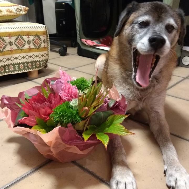 262ab5c6 ecc9 4204 8e68 4ad2b6762d51 1572771389052