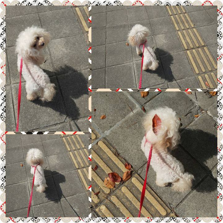 262ae958 8a02 48f9 a262 2e7e3f084a61 1698488398145