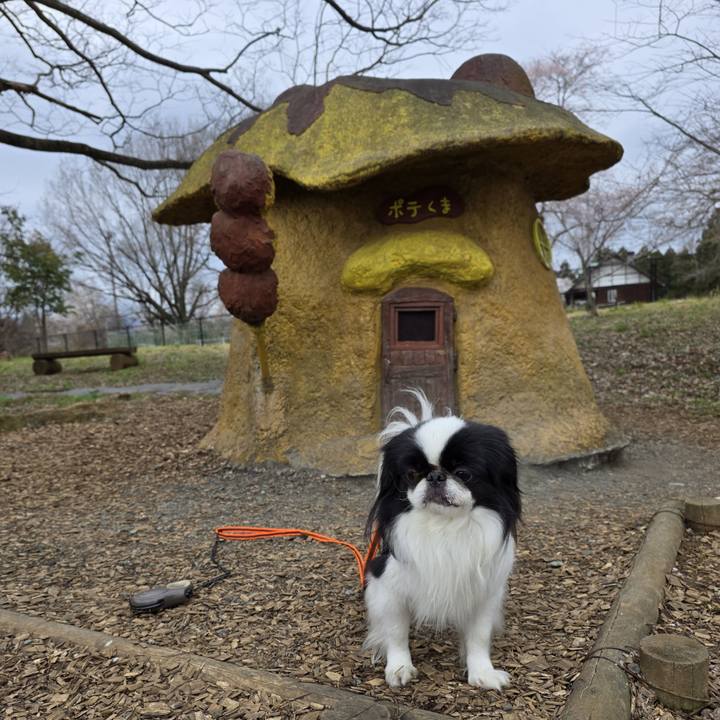 262af315 0f15 473a 91ad cc76eb11f477 1743423531620