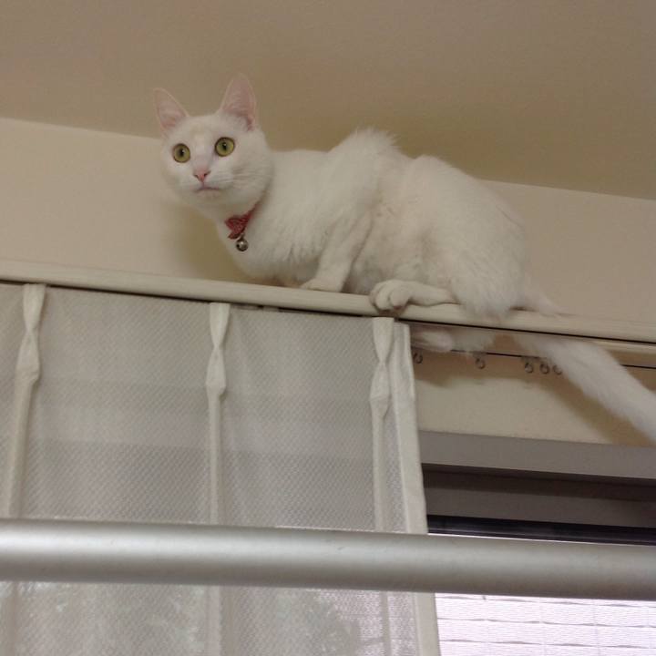 262b09ff 2637 4e7e b73a 321d18bfb015 1637879737331