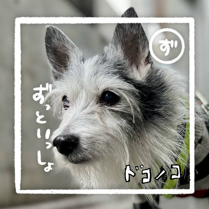 262b1173 2c8f 453a 8077 8d49911ae708 1685966599674