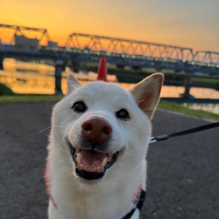 262b3141 9d5b 4b6c a5ff 976231937fc9 1750241782299