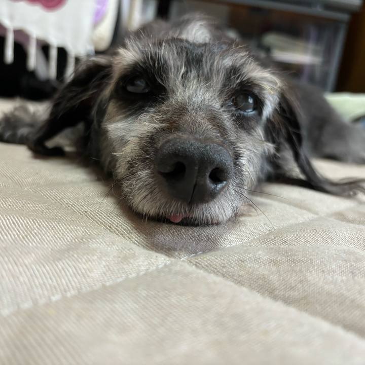 262b5f2d fbc5 4af2 83d8 f6d50dcb61f3 1758761942548