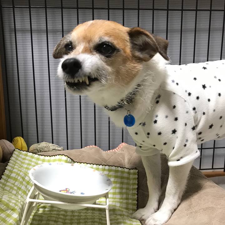 262b6d99 7bae 47ef af4a 90aa57e7e183 1577527437288