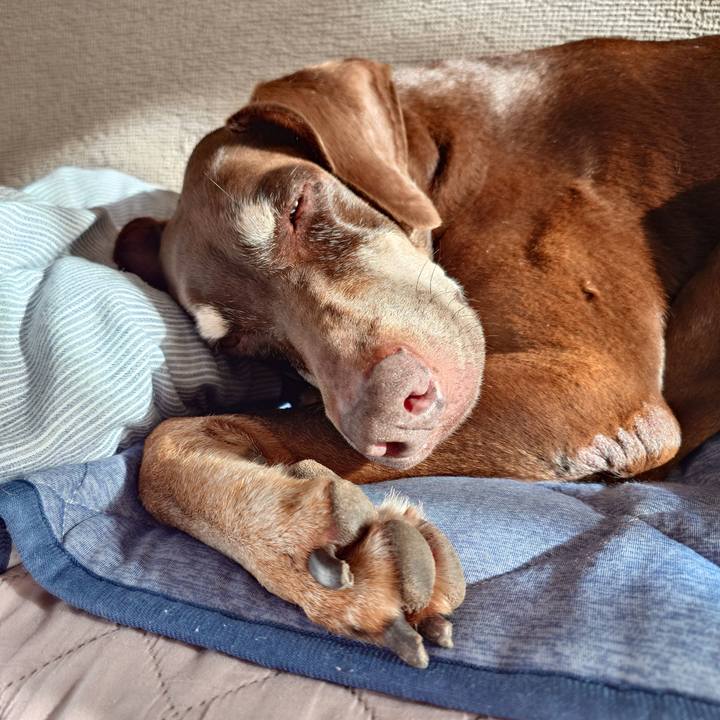 262b995a ccc1 41c5 a637 05426cc91656 1764126395944