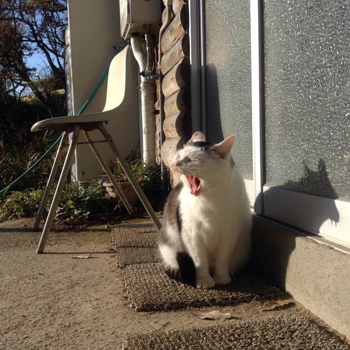 262bc8ed 8ceb 4bd3 a83c 5b89e746e88a 1512287660891