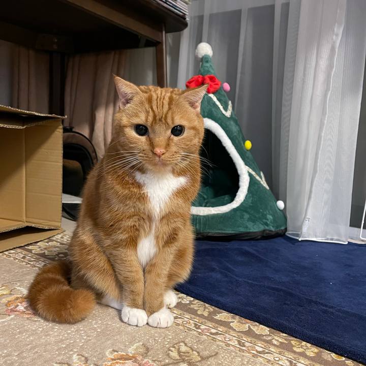 262bde9f c671 4703 aee3 eae6aa946c4c 1608470303209