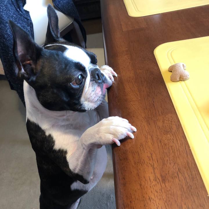 262c1ac8 e24a 4a06 a9fa e1ea3e327743 1611457340682