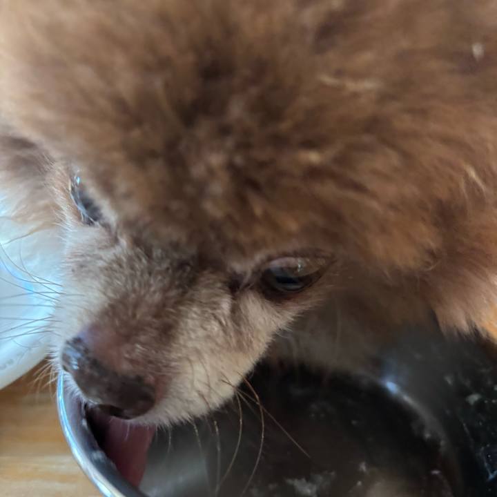 262c34db a4f8 4cad 9f67 9bc9da4dc4f6 1762156196411