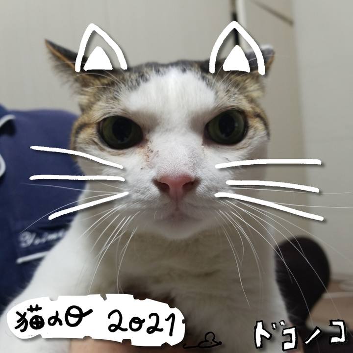 262c45a4 295e 4d98 8c46 be4feb3e9912 1613993668426