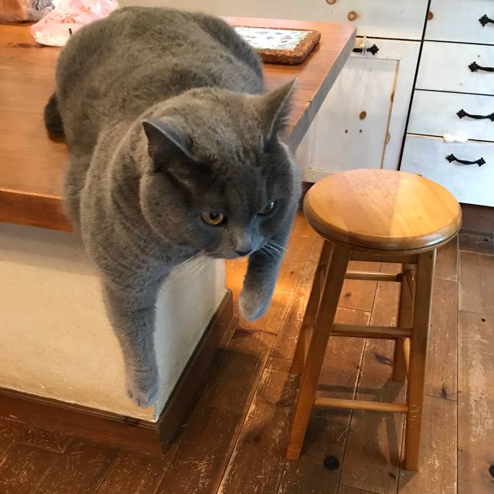 262c5e28 3983 4bb0 ad2e 01b089046055 1517588463698