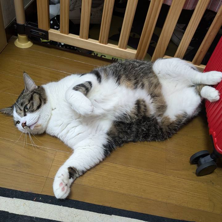 262c6851 6e8a 47b0 8b31 29b8b52d1811 1724980467648