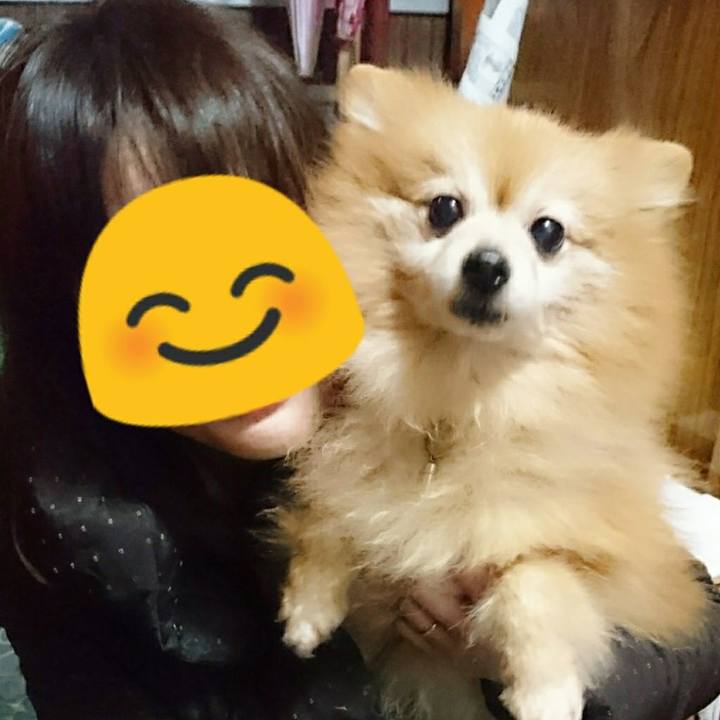 262c865a 8d5b 4393 bba1 d7de8f48aeae 1519209723560