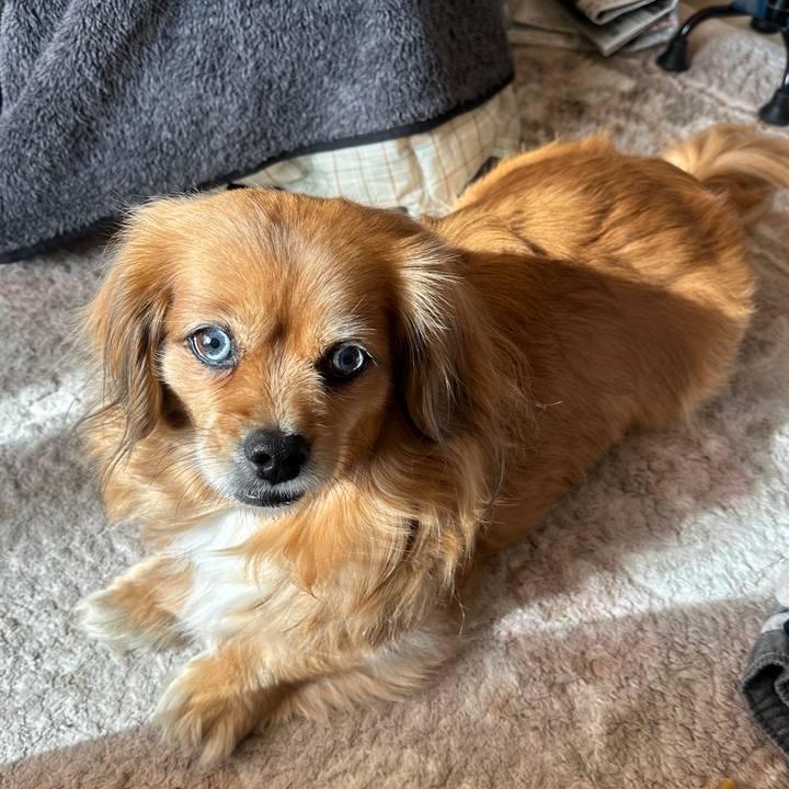 262cb836 02ab 4091 91e2 d12d636c42a6 1707773485163