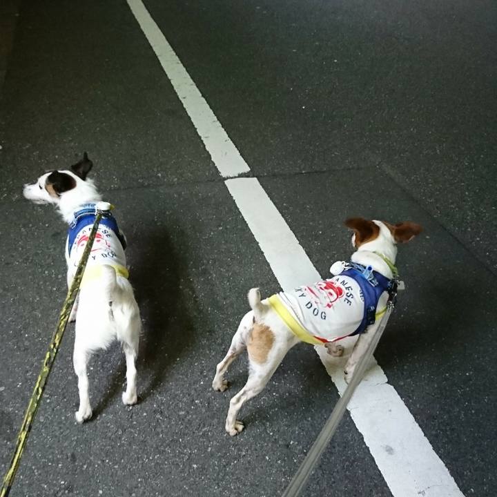 262d658f 7158 4b55 9c66 916da029bb7b 1570107222719