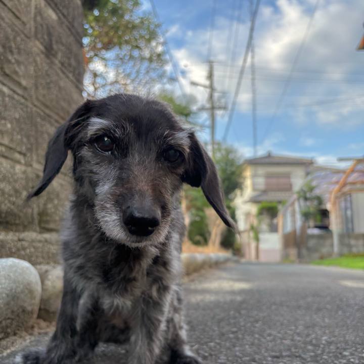 262d6e4b cb8d 433c bbf0 0d89e73cb664 1758585987918