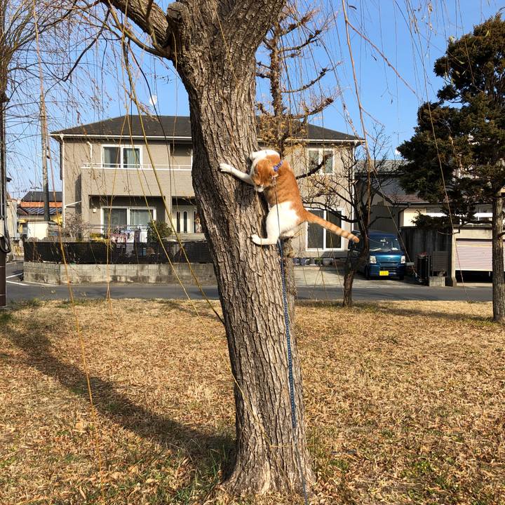 262d9296 76bb 4b4c 9d38 a87b5487e077 1546769837221