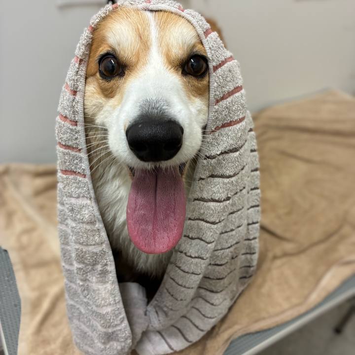 262de34e ac5e 418a 93c1 41c227d90586 1776243885318