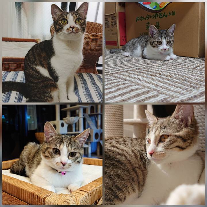 262e256a 2f10 4542 b7ec 7d1eef6a2d22 1567295485618