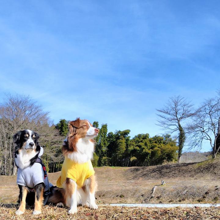 262e37a6 1da5 4c9a a7c6 077bacf2db06 1770808698379