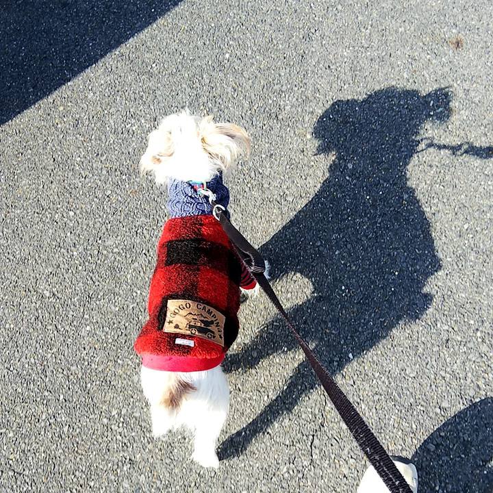 262e5826 41a6 4e76 ab1f 804aca2518bd 1544945465619