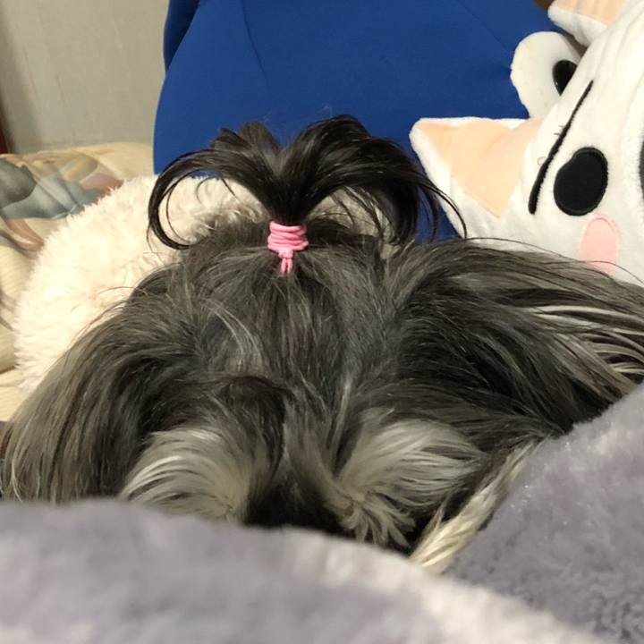 262ea9b5 cac0 42ef 8c7a 0f628c9ecfc2 1521621080906