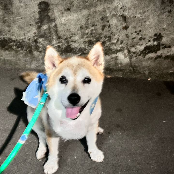 262eba51 b7aa 4384 a5c9 86072b737b8f 1756722468638