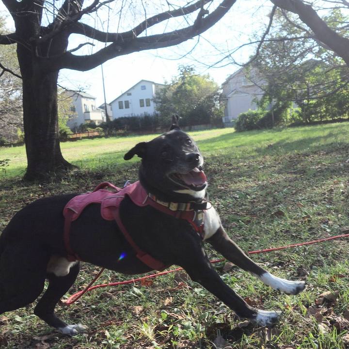 262ec28e 9a7b 4a4b 9c73 be2bf9ee869c 1697589950299