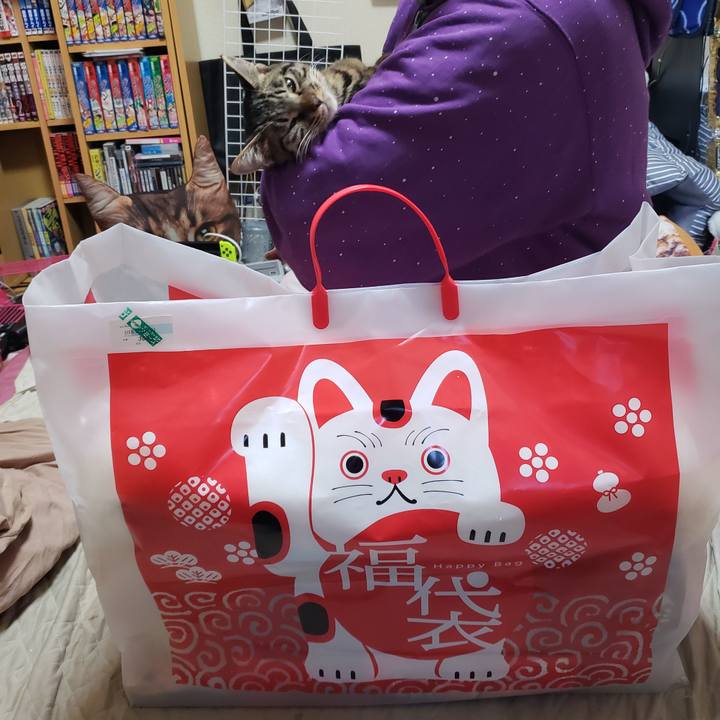 262ec5e1 0223 45a8 93b9 1610c71a7b36 1546310302816