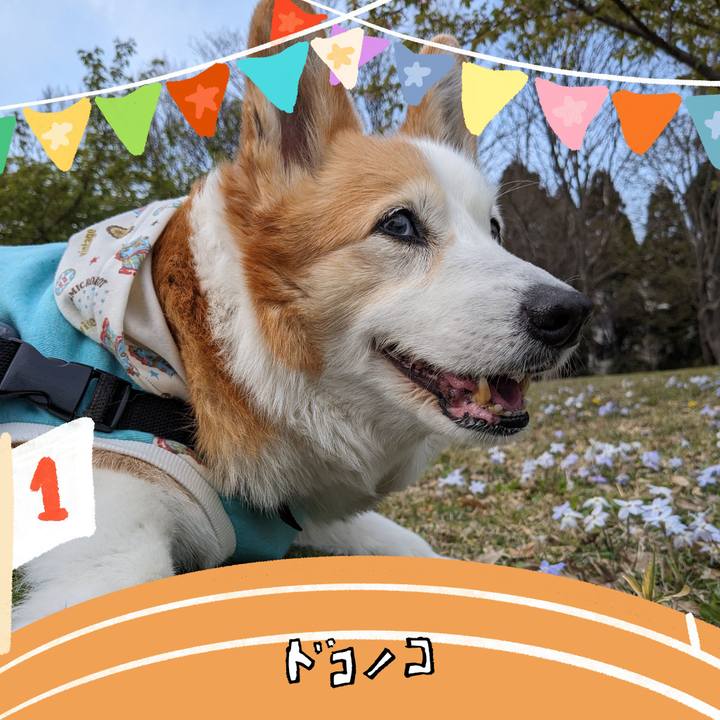 262efdd5 4704 40cf 9220 8b571fb6b038 1761380981945