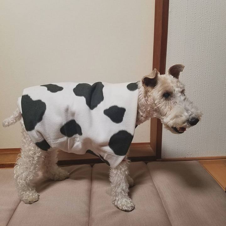 262f167d 3d27 47ec a45b 4e6dc0690854 1577454870321