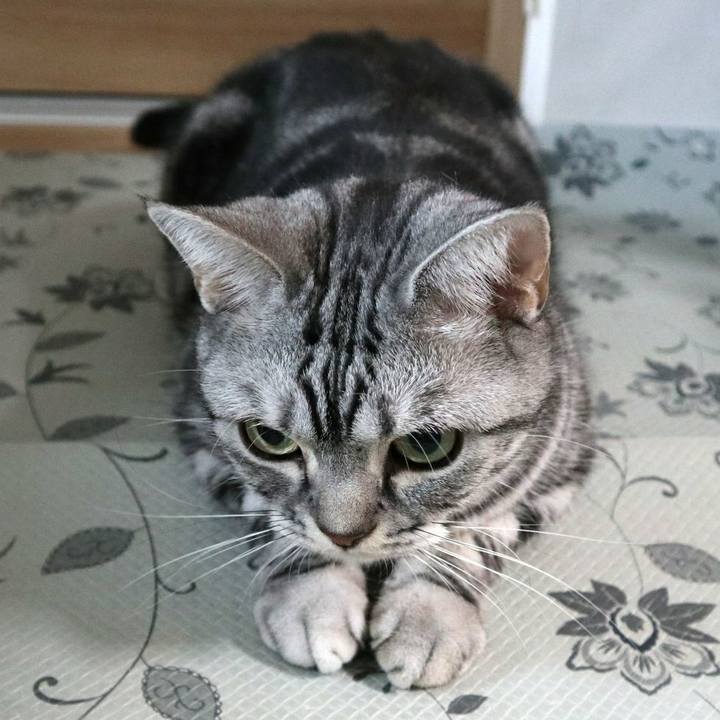 262f4eb9 01c4 40d7 9ffe aa5afd0e4089 1601201473752