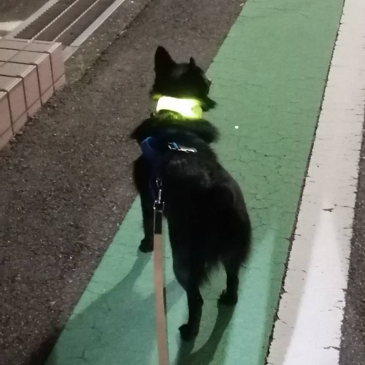 262fb66e 5e2e 4810 99c4 2731ed1f867c 1634815567801