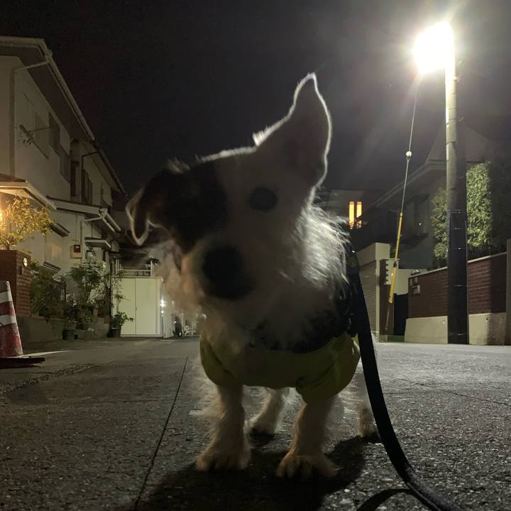 262fbe98 78bf 4ae2 b250 ad2ac09d8bde 1730723573576