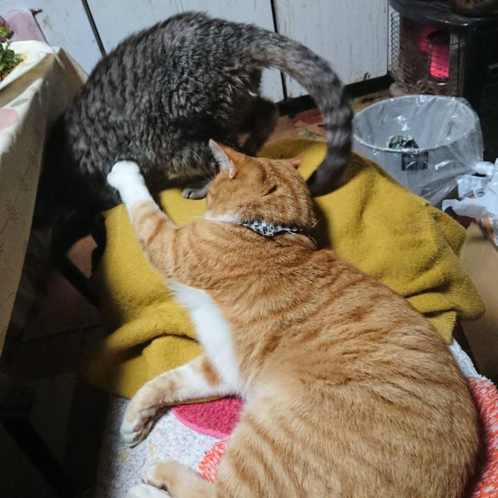 262fcffd 650d 4588 8b98 a4aa1ef88a8b 1603967528980