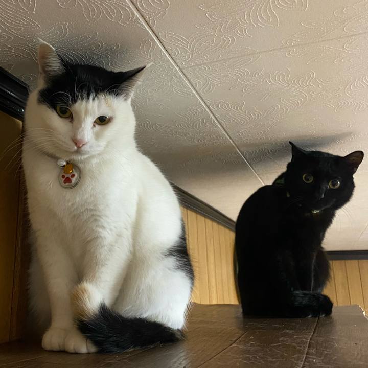 262fdf60 cc6d 4add b611 ac4f11d59b1e 1647808673792