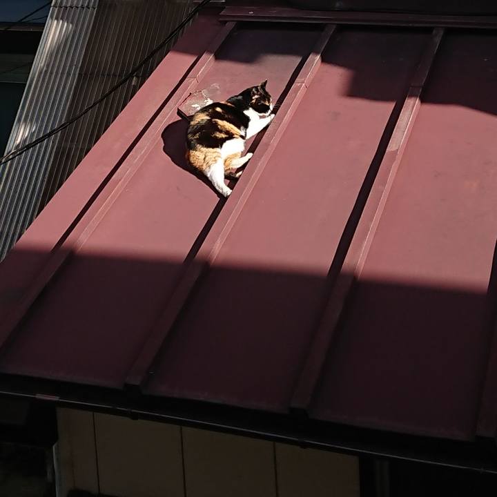 262ffa0b 80b7 4190 94bd 6be16cb4c40d 1614038413331