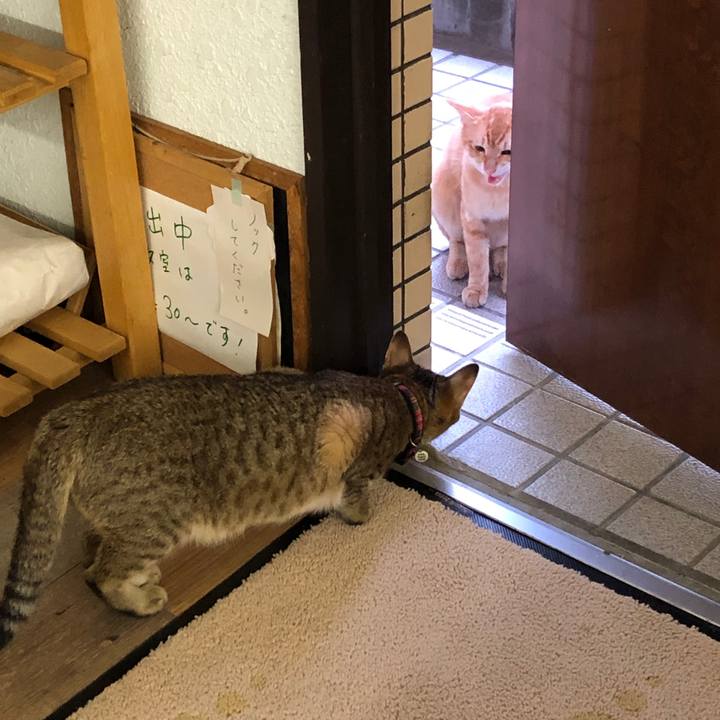 262fff41 1f48 4773 8500 b9210cbe08b9 1594945763704