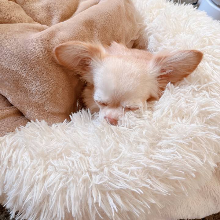 2630157e b433 4d00 93b4 5dbaf2063f19 1681117843125