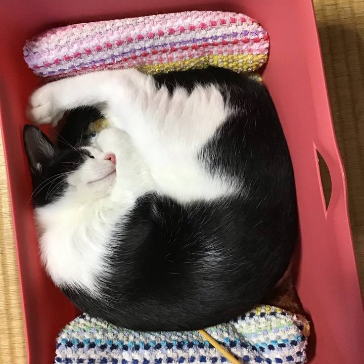 26302c95 9abd 4228 9771 fe8eed60ecf9 1627975278268