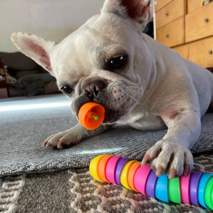 26309505 bddb 4c40 992c 702391941c6c 1729310999409