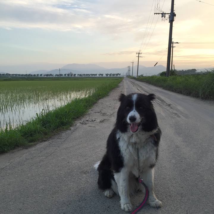 2630d52f 622a 4024 8ba7 913fc3ef8209 1531341835189