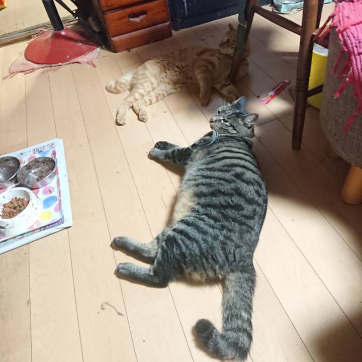 2630e62e a80e 41ee 942a c227af16ae91 1663072064697